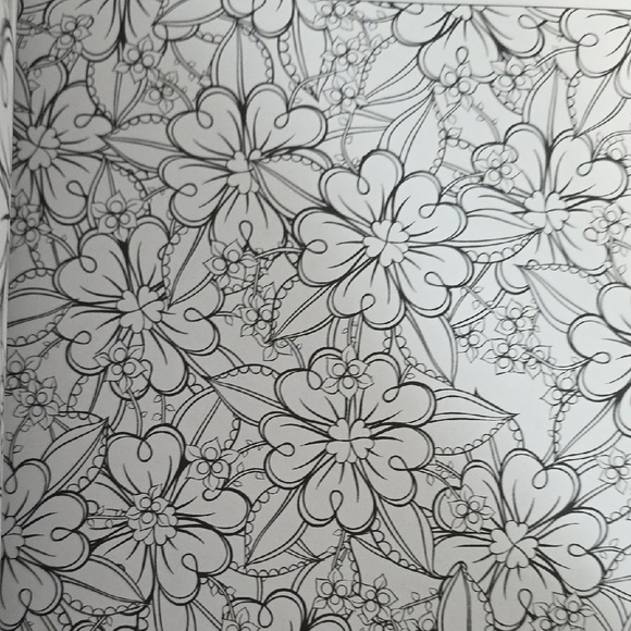 Set of Two Adult Coloring Books - The Menagerie and Magic Garden - Picture 12 of 16